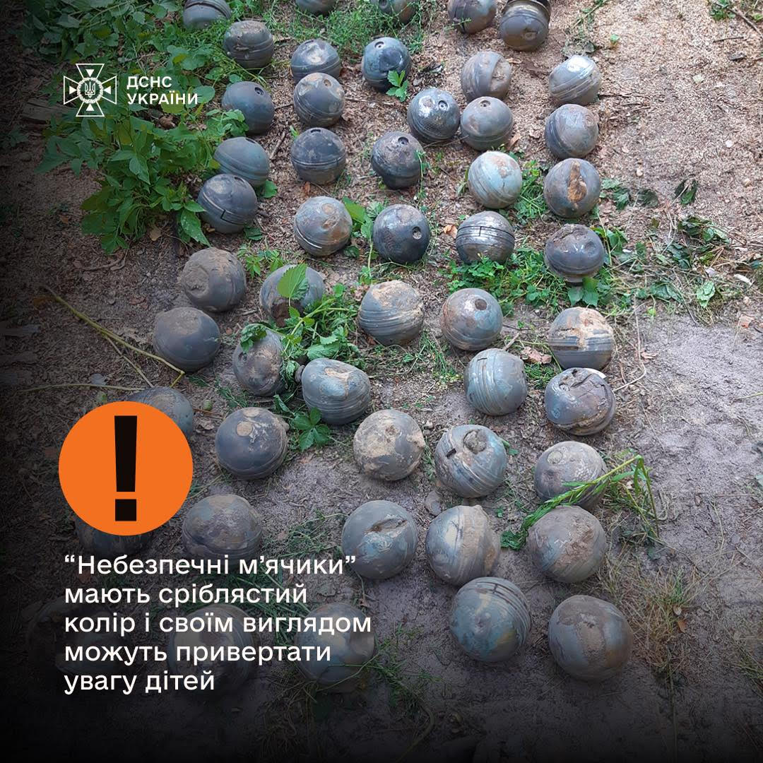 рекомендації ДСНСУ 2025 31