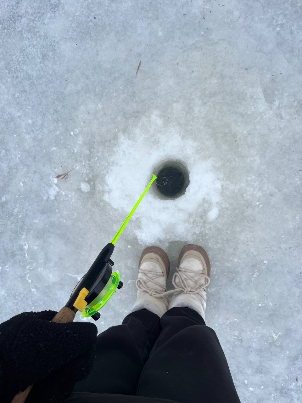 Норвегія 2026 лютий 1