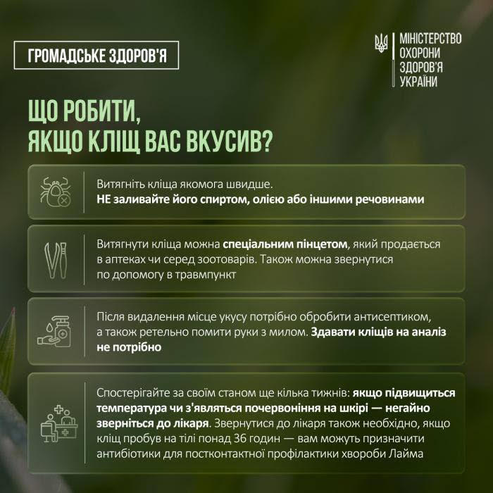 Уроки школи виживання в УНС пф уду